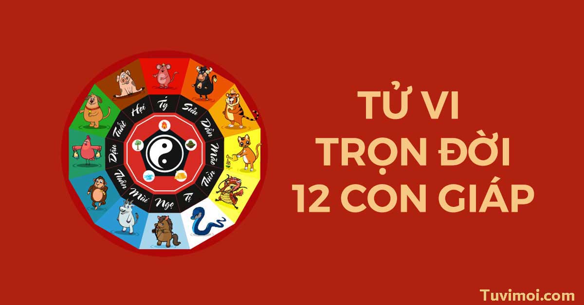 Xem tử vi trọn đời 2024 2025 nam mạng và nữ mạng 12 con giáp