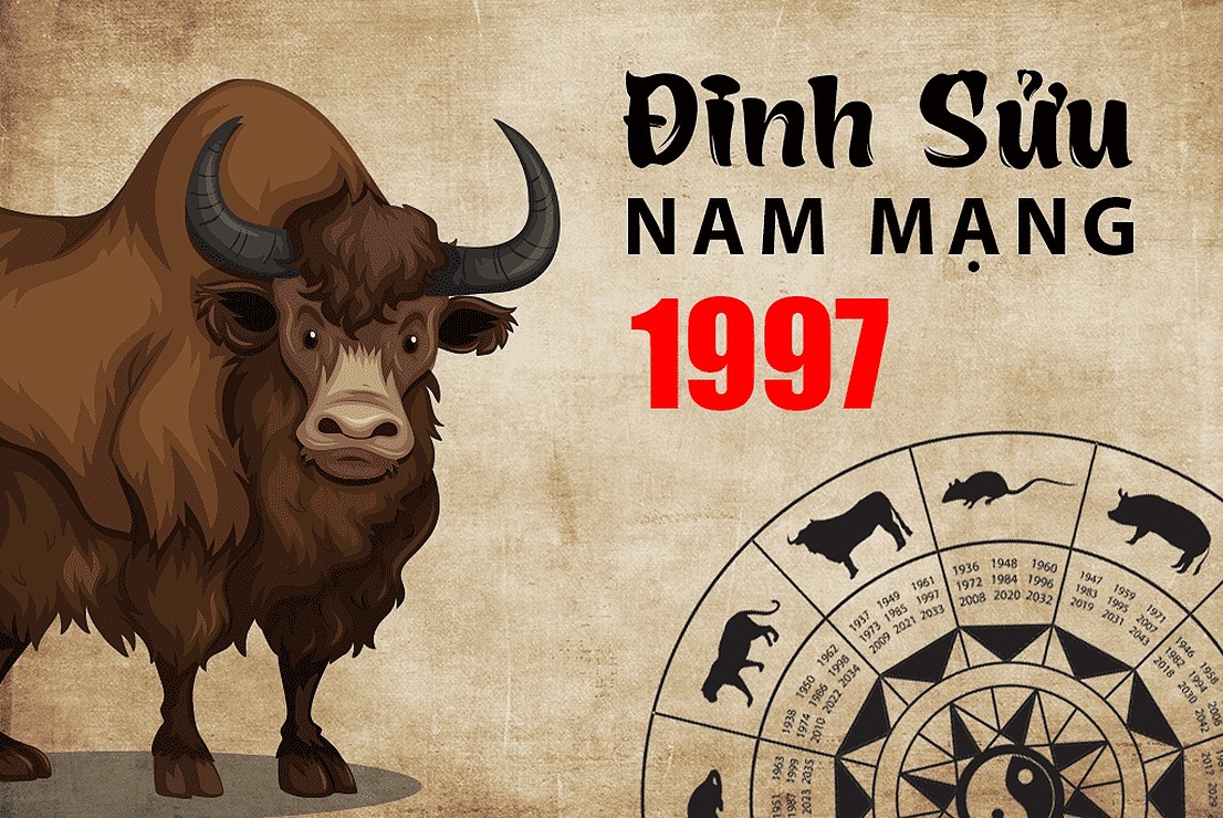 Tử vi tuổi Đinh Sửu 1997 nam mạng năm 2022