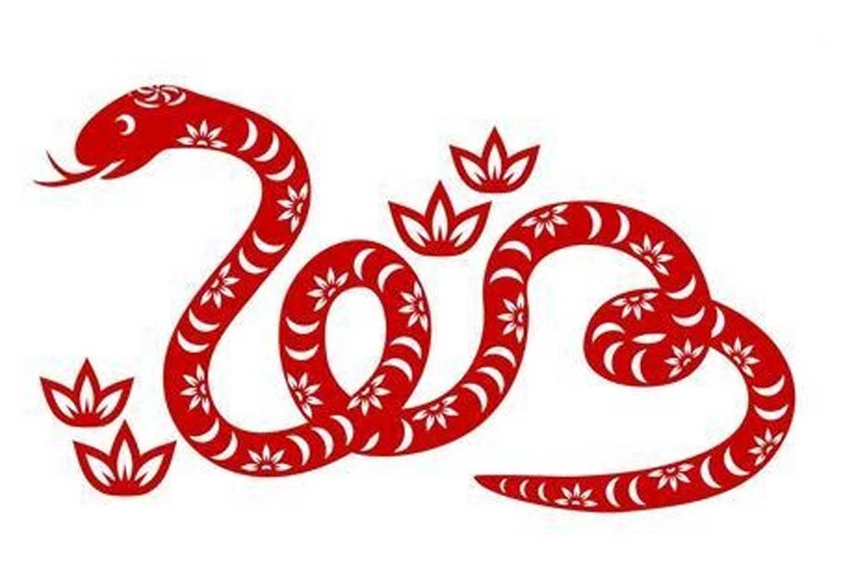 Tử vi tuổi Ất Tỵ 1965 nam mạng năm 2022