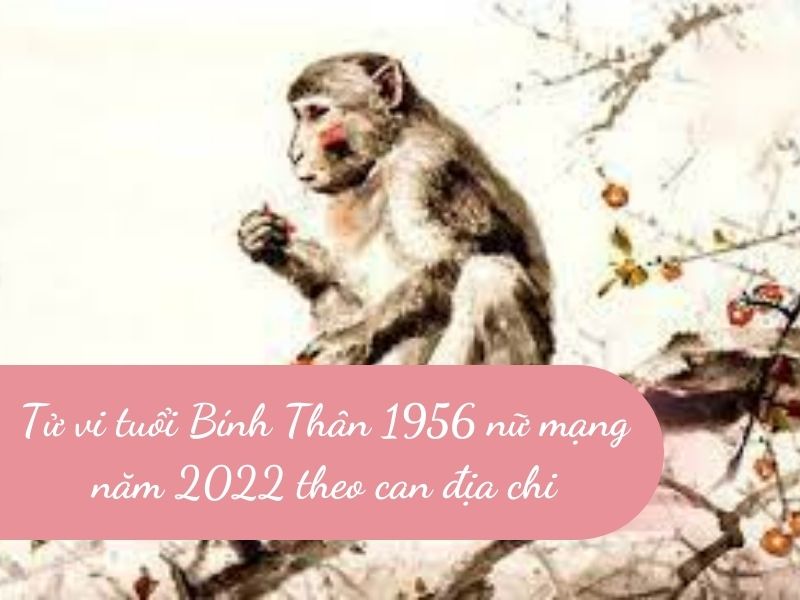 Tử vi tuổi Bính Thân 1956 nữ mạng năm 2022 theo can địa chi