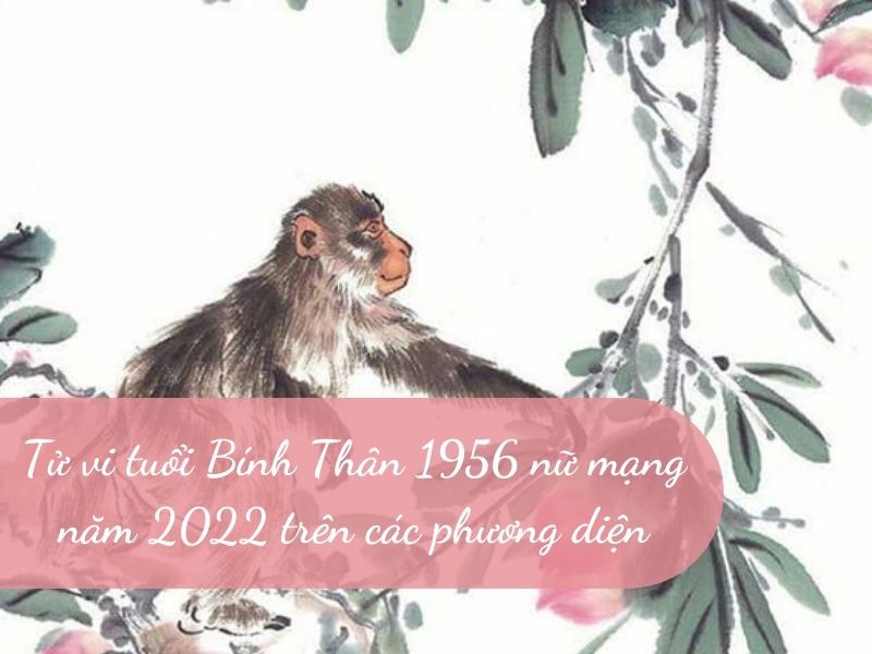 Tử vi tuổi Bính Thân 1956 nữ mạng năm 2022 trên các phương diện