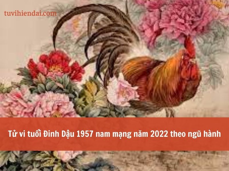 Tử vi tuổi Đinh Dậu 1957 nam mạng năm 2022 theo ngũ hành