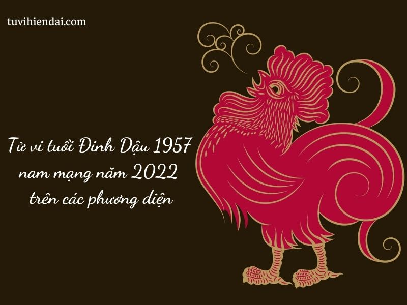Tử vi tuổi Đinh Dậu 1957 nam mạng năm 2022 trên các phương diện