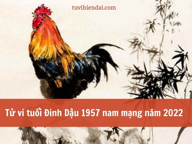 Tử vi tuổi Đinh Dậu 1957 nam mạng năm 2022
