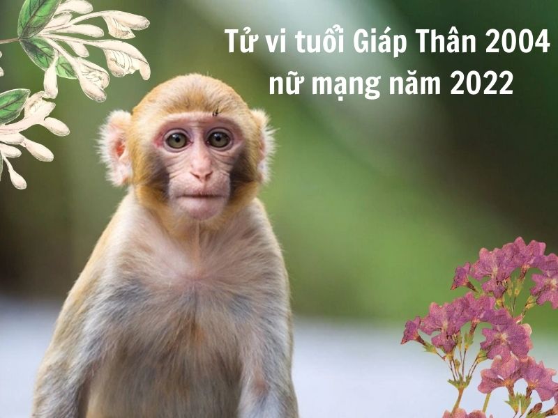 Tử vi tuổi Giáp Thân 2004 nữ mạng năm 2022