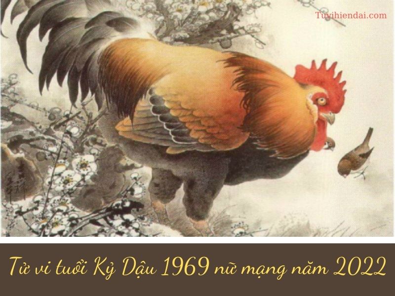 Tử vi tuổi Kỷ Dậu 1969 nữ mạng năm 2022