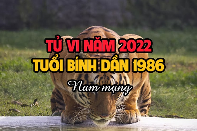Tử vi tuổi Bính Dần 1986 nam mạng năm 2022