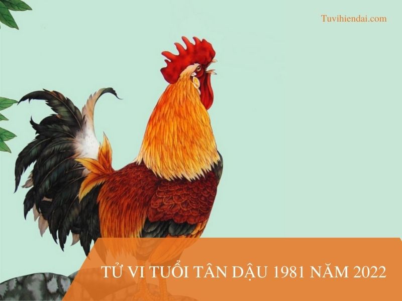 Tử vi tuổi Tân Dậu 1981 nam mạng năm 2022