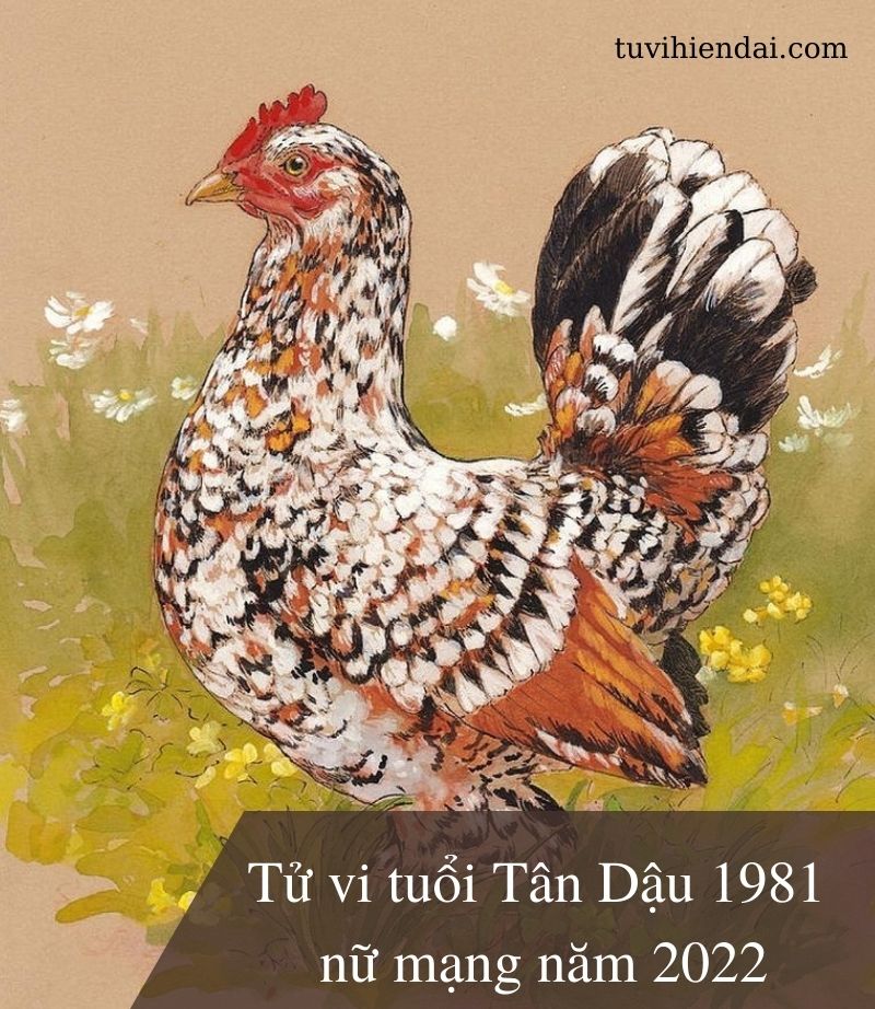Tử vi tuổi Tân Dậu 1981 nữ mạng năm 2022