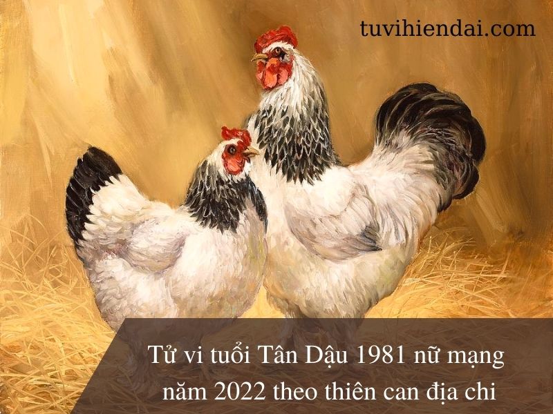 Tử vi tuổi Tân Dậu 1981 nữ mạng năm 2022 theo thiên can địa chi