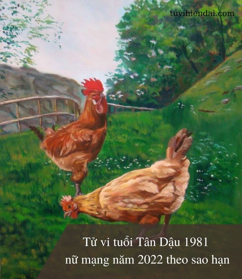 Tử vi tuổi Tân Dậu 1981 nữ mạng năm 2022 theo sao hạn