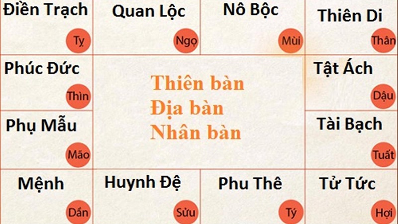 Xem tử vi trọn đời 2024 2025 nam mạng và nữ mạng 12 con giáp