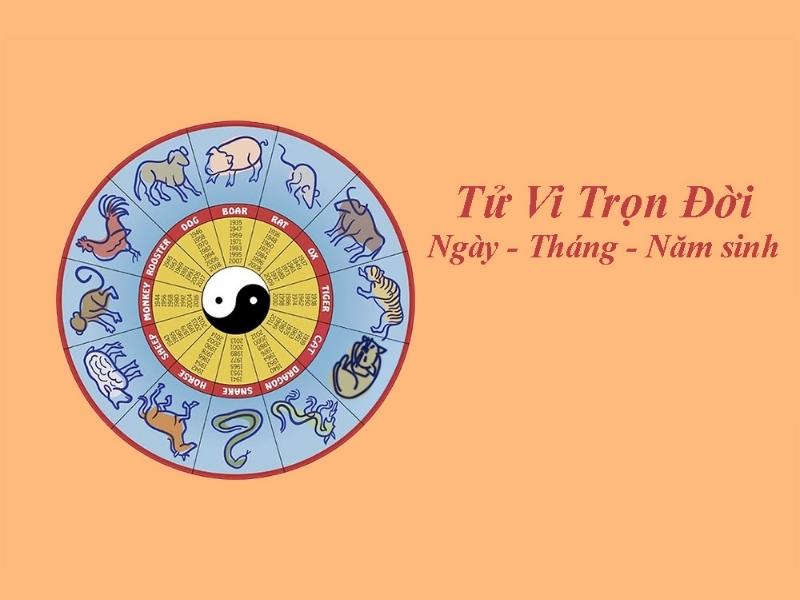 Xem tử vi trọn đời 2024 2025 nam mạng và nữ mạng 12 con giáp
